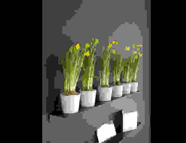 Marike Add planchet 60 cm Marike Moderne woonkamers Bloem,Plant,Bloempot,Kamerplant,bloemblaadje,Vaas,Bloeiende plant,Rechthoek,terrestrische plant,Gras