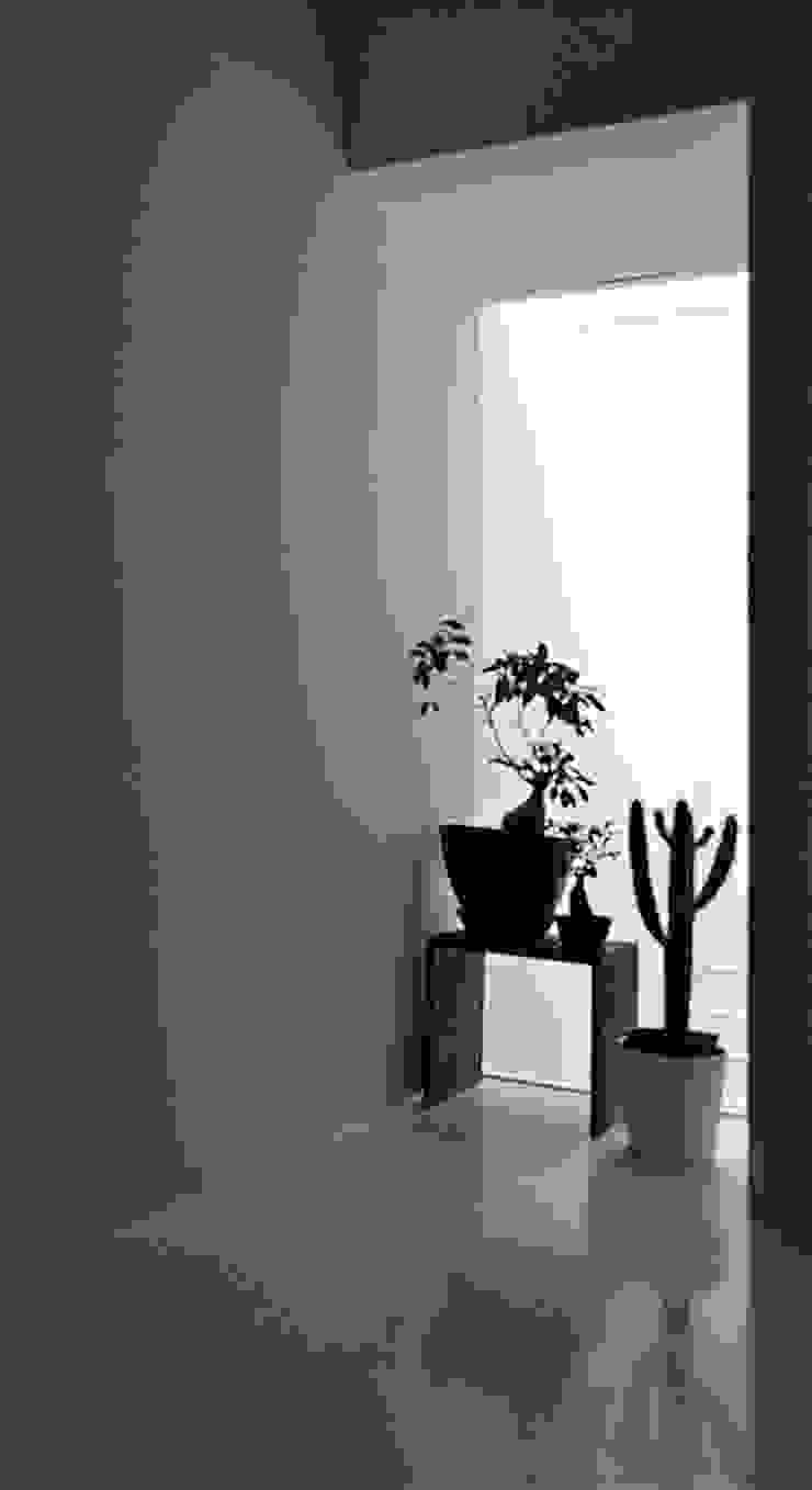 CM house Corredores, halls e escadas mediterrâneos por (dp)ªSTUDIO Mediterrâneo