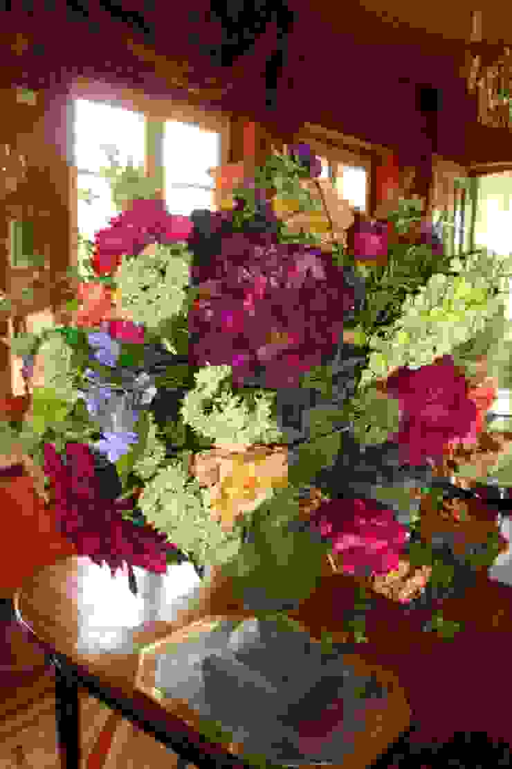 THORA TOWN & COUNTRY Livings de estilo clásico