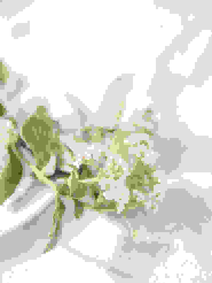 por www.rocio-olmo.com Campestre