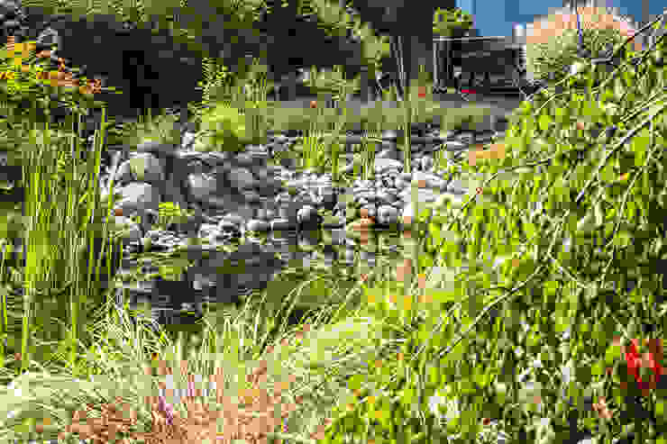 Koiteich Oswald Gärten Ausgefallener Garten Blume,Anlage,Pflanzengemeinschaft,Natürliche Landschaft,Grundstück,Gras,Landschaft,Strauch,Bodendecker,Grundgestein