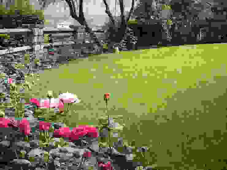 10 expert tips for an impressive garden lawn | homify