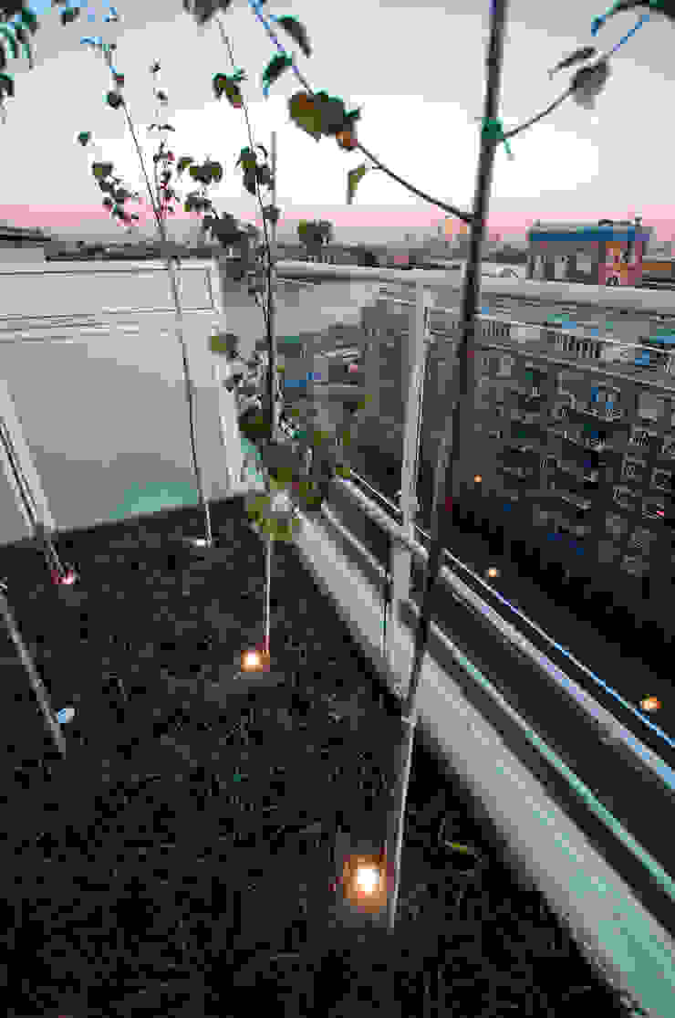 Southbank, London Varandas, marquises e terraços modernos por Urban Roof Gardens Moderno