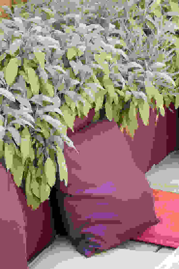 Party garden in Sevenoaks, Kent Giardino moderno di Earth Designs Moderno