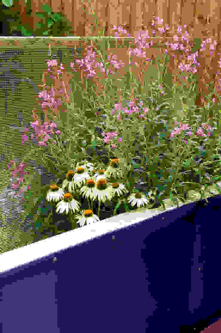 Party garden in Sevenoaks, Kent Giardino moderno di Earth Designs Moderno