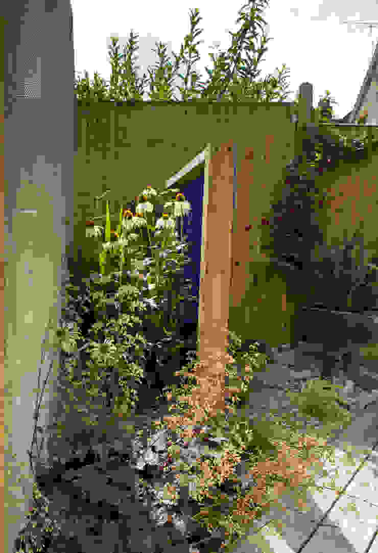 Party garden in Sevenoaks, Kent Giardino moderno di Earth Designs Moderno