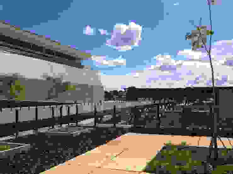 Arena Pantanal GCP Arquitetura & Urbanismo Stadiums