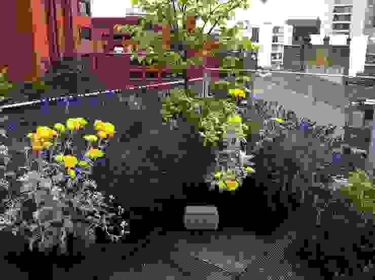 Garden In The Sky Industrial style gardens by Cool Gardens Landscaping Industrial