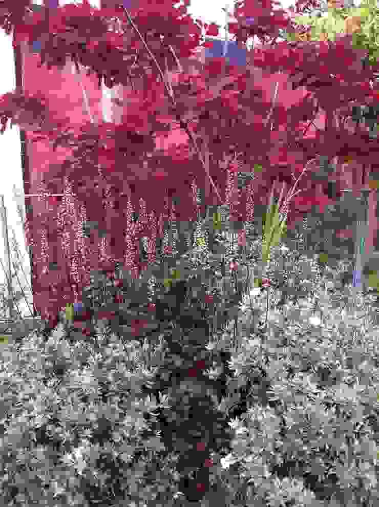 Garden In The Sky Giardino in stile industriale di Cool Gardens Landscaping Industrial