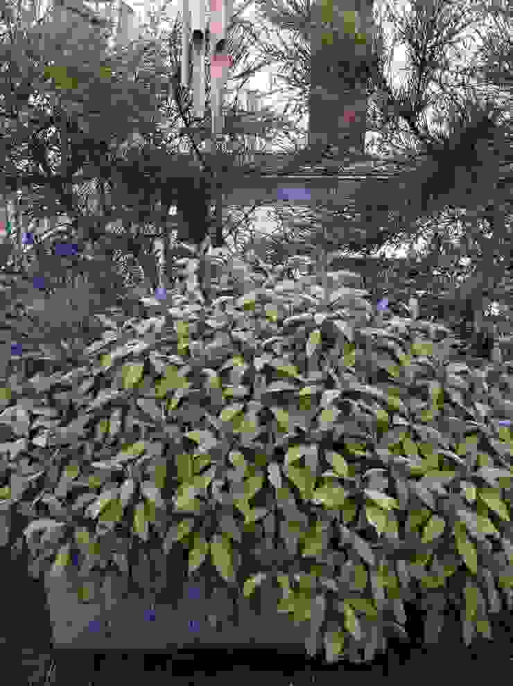 Garden In The Sky Giardino in stile industriale di Cool Gardens Landscaping Industrial