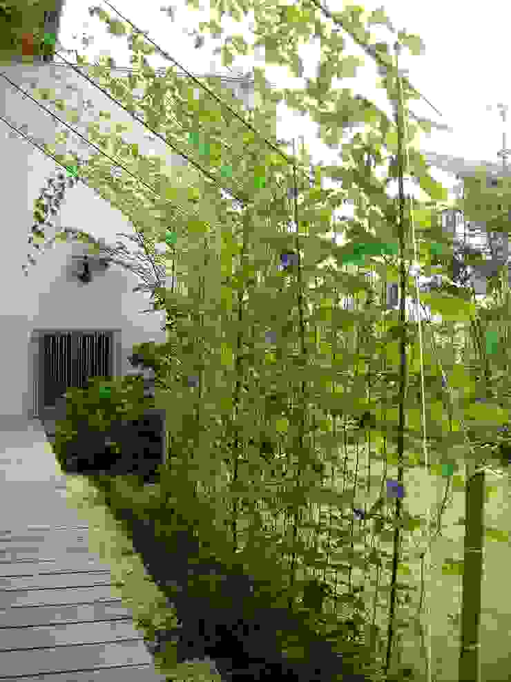朝顔の日よけカーテン ＡＲＫＳＴＵＤＩＯ一級建築士事務所 オリジナルな 庭 植物,緑,葉,フィクスチャ,植物学,建物,植生,バイオーム,陸生植物,低木