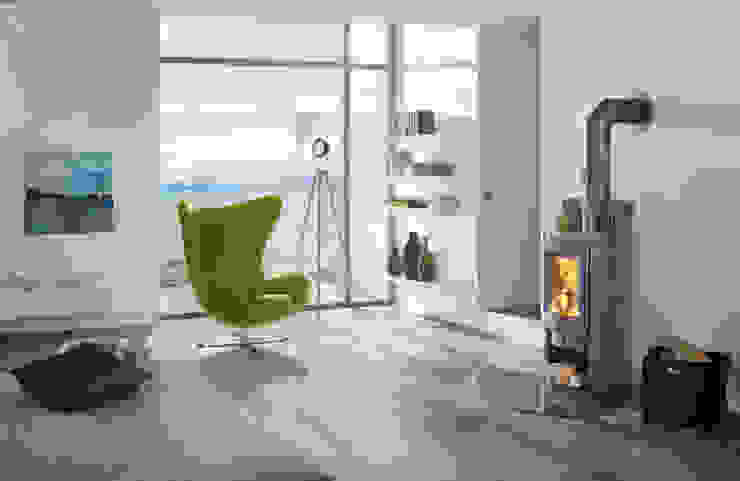 DAN SKAN GmbH Living roomFireplaces & accessories
