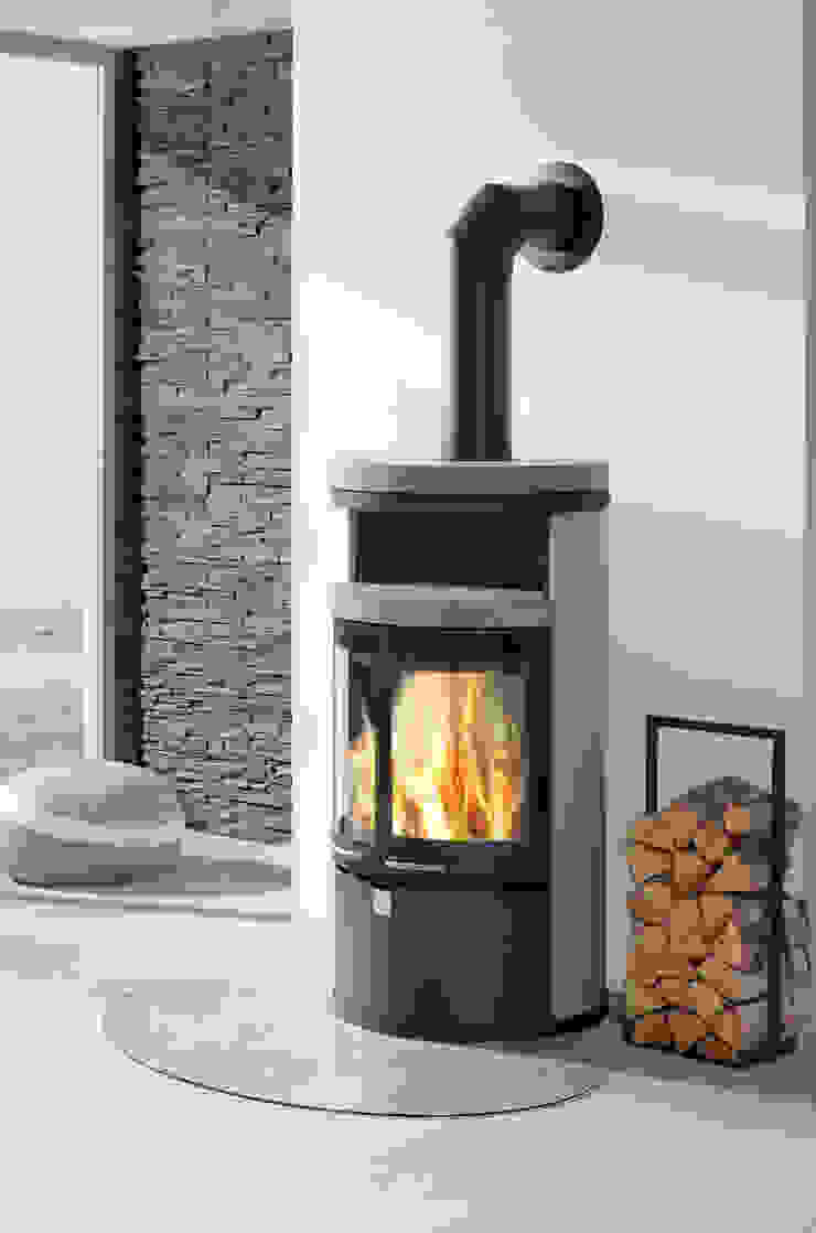 DAN SKAN GmbH Living roomFireplaces & accessories