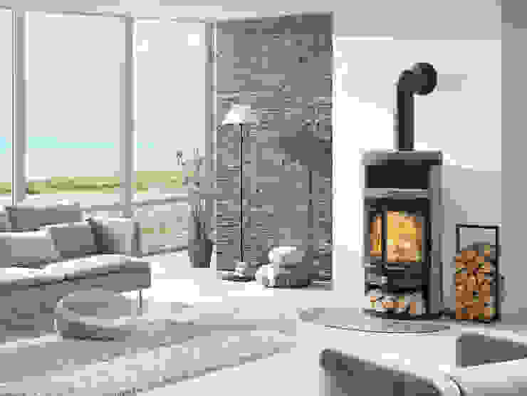DAN SKAN GmbH Living roomFireplaces & accessories