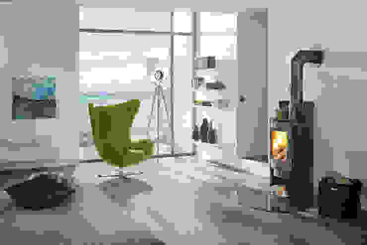 DAN SKAN GmbH Living roomFireplaces & accessories