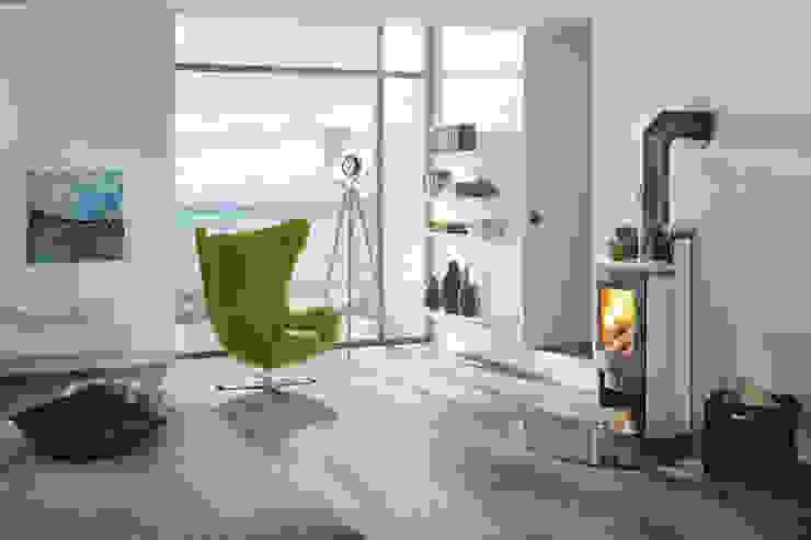 DAN SKAN GmbH Living roomFireplaces & accessories