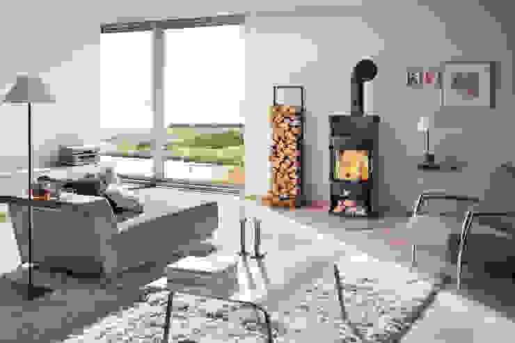 DAN SKAN GmbH Living roomFireplaces & accessories