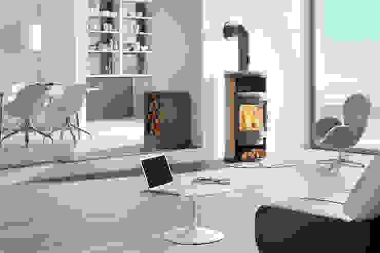 DAN SKAN GmbH Living roomFireplaces & accessories