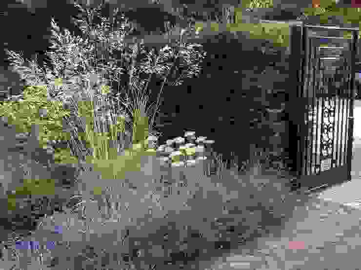 Heavenly Planting Garden design ideas by Cool Gardens Landscaping