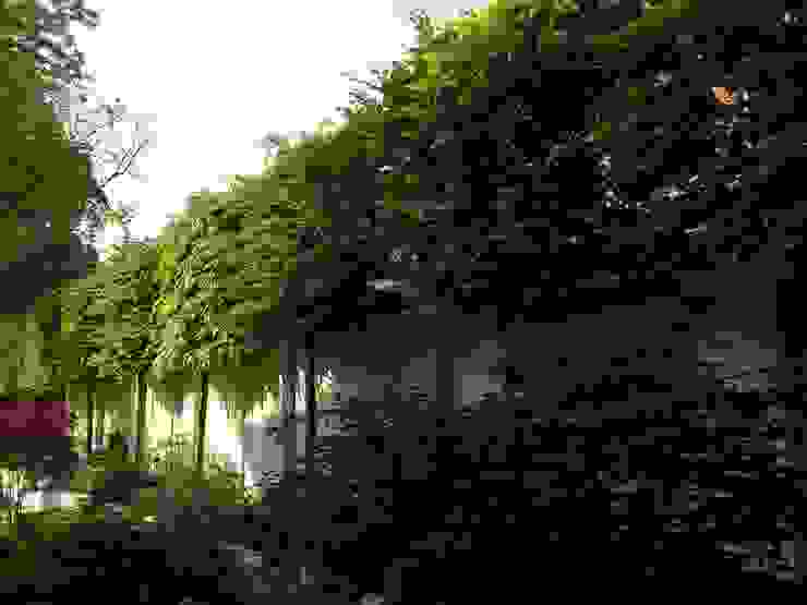 Heavenly Planting Garden design ideas by Cool Gardens Landscaping