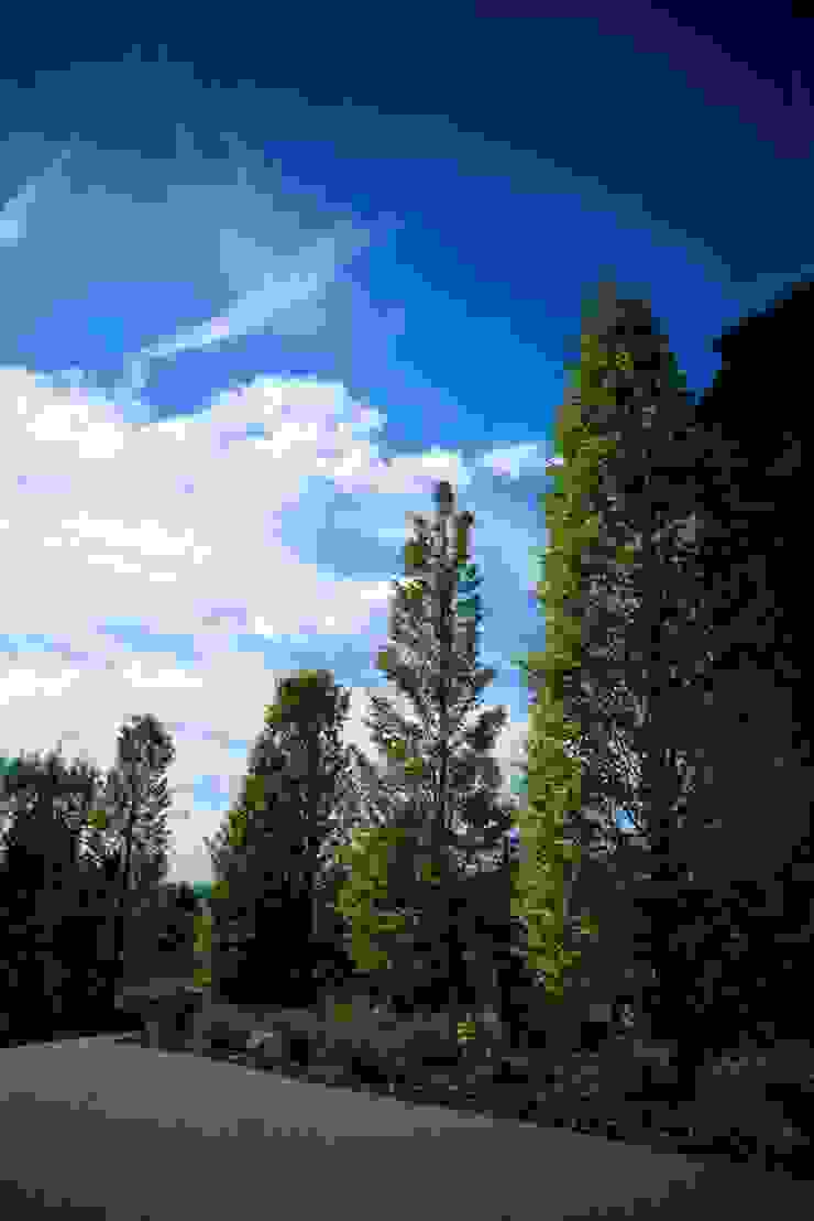 Heavenly Planting Garden design ideas by Cool Gardens Landscaping