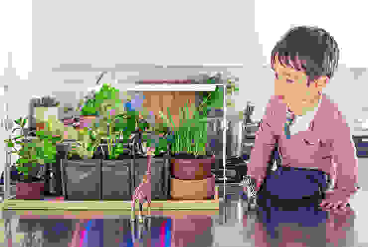 Inovasi Teknologi Masa Depan Yang Dapat Anda Aplikasikan Di Rumah Homify