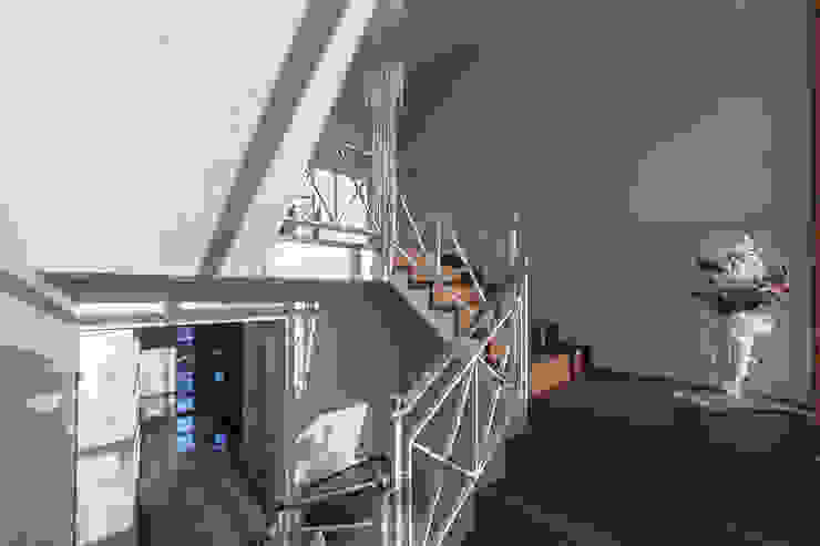 StudioG CasaAcessórios para animais