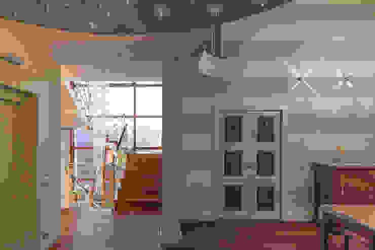 StudioG CasaAcessórios para animais