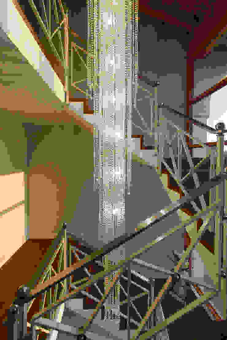 StudioG CasaAcessórios para animais