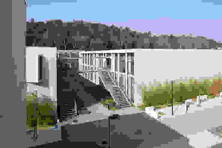 Pronote Lycée Albert Einstein Bagnols Sur Ceze