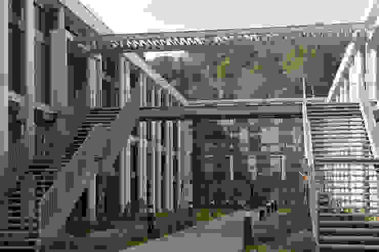 Pronote Lycée Albert Einstein Bagnols Sur Ceze