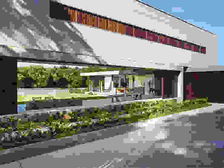 House 01, Hyde Park Casas modernas por Daffonchio & Associates Architects Moderno