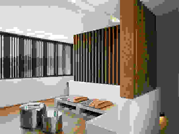 House 01, Hyde Park Salas de estar modernas por Daffonchio & Associates Architects Moderno