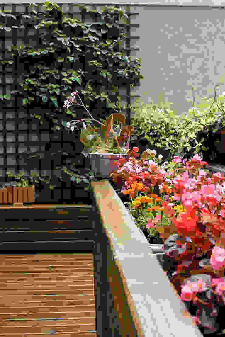 Varanda Studio Gorski Arquitetura Jardins modernos Plantar,Flor,Vaso de flores,Folha,Botânica,Planta de casa,Madeira,Pétala,Vegetação,Grama