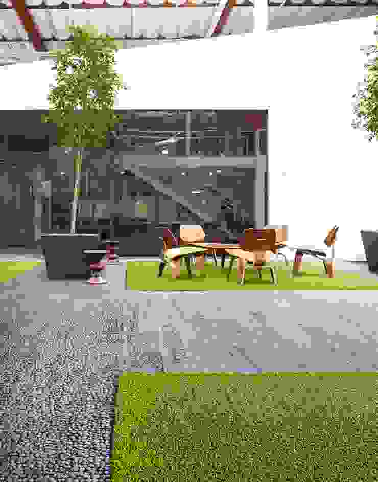 Naturdesign Bäume für zuhause homify