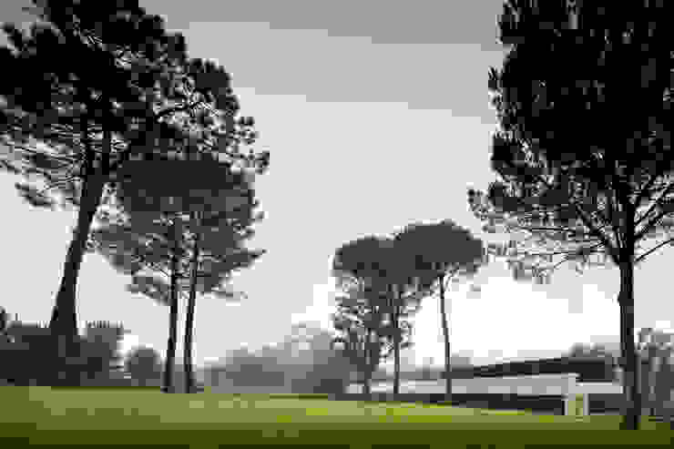 Duas casas em Monção Casas modernas por JPL Arquitecto Moderno