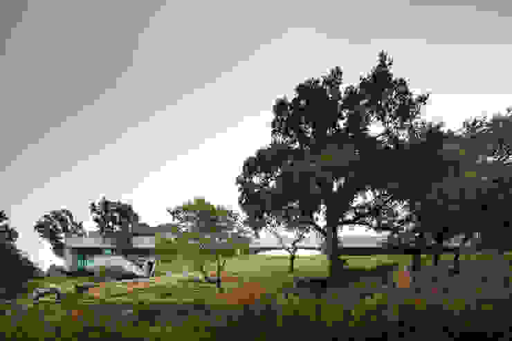 Duas casas em Monção Casas modernas por JPL Arquitecto Moderno