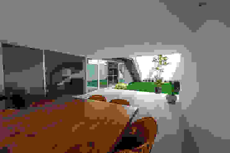 IPE HOUSE P+0 Arquitectura Jardines de estilo moderno