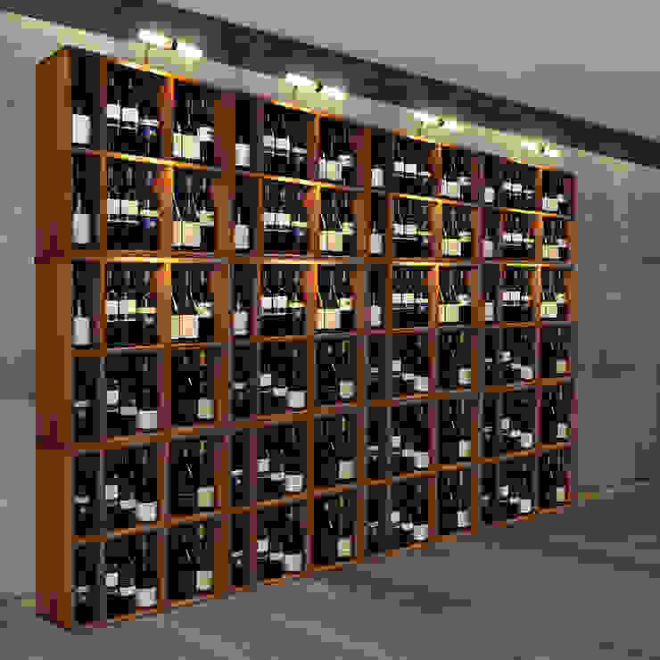 Premium System Cavepro By Weinregal Profi Homify