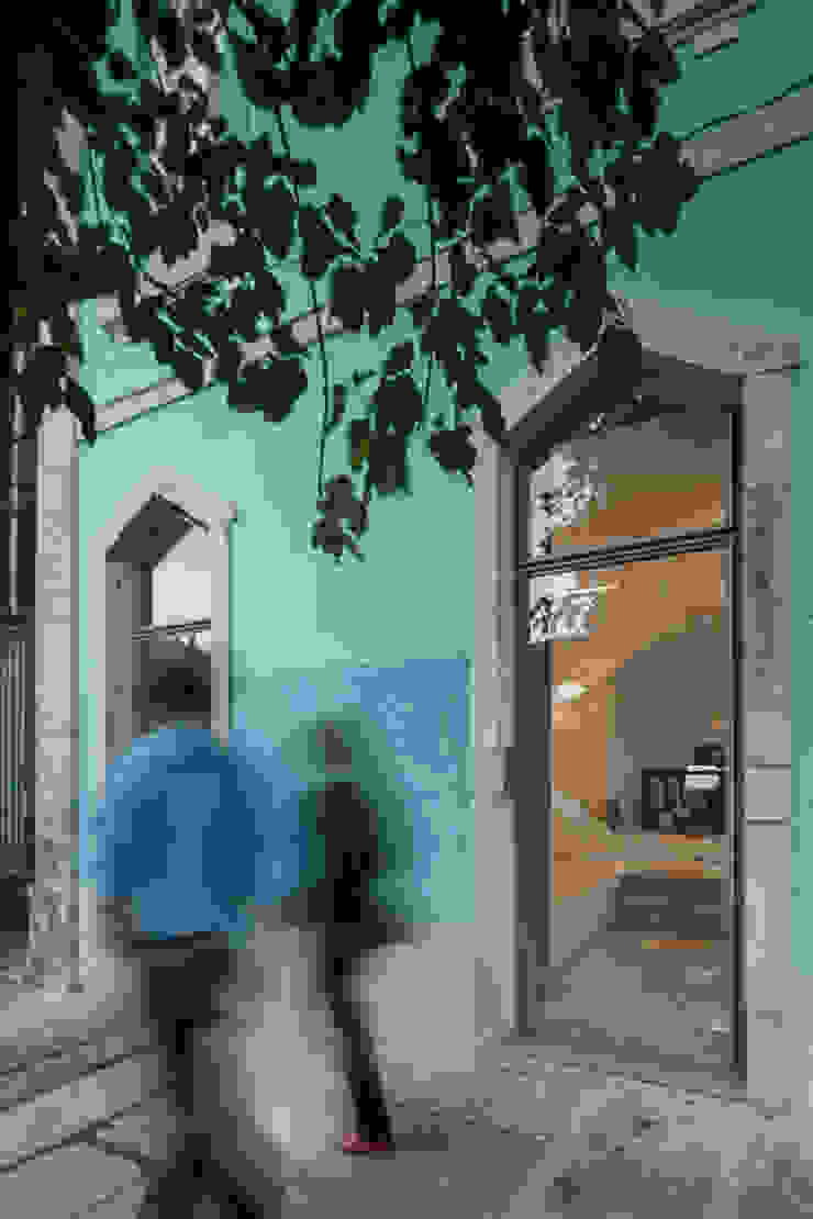 The Three Cusps Chalet Pintu & Jendela Gaya Eklektik Oleh Tiago do Vale Arquitectos Eklektik