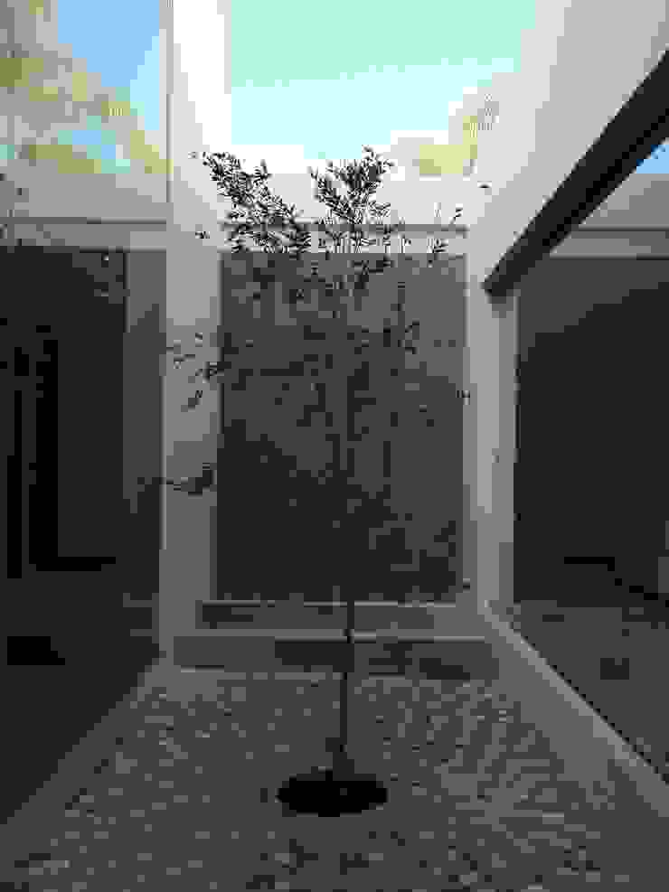 Arki3d Jardines de estilo moderno