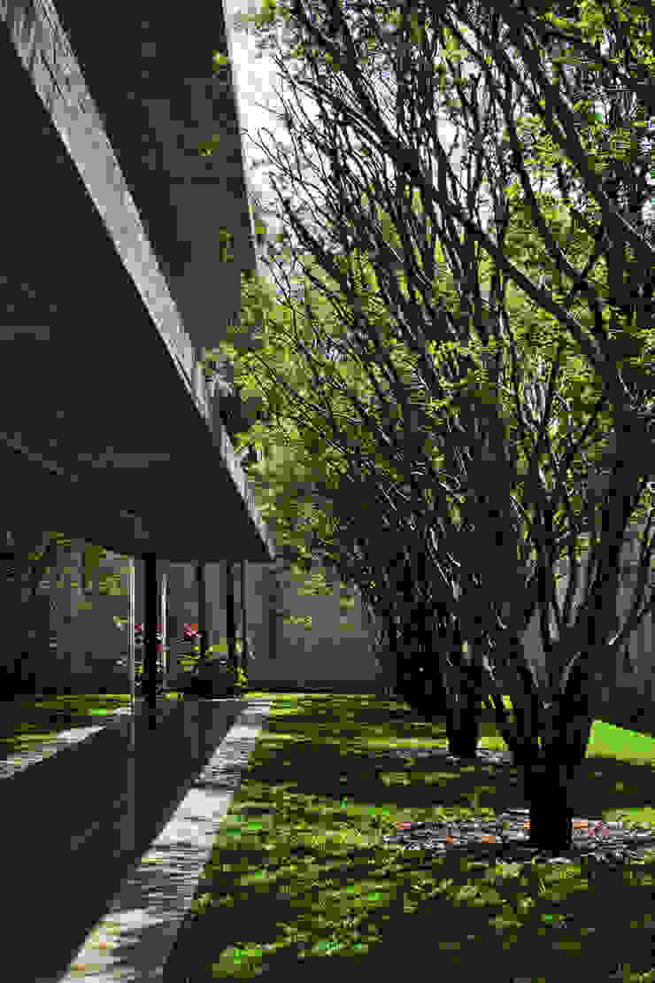 Studio MK27 Modern Houses