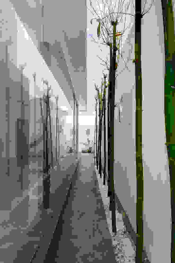 Aedes House Taller ADC Architecture Office Houses