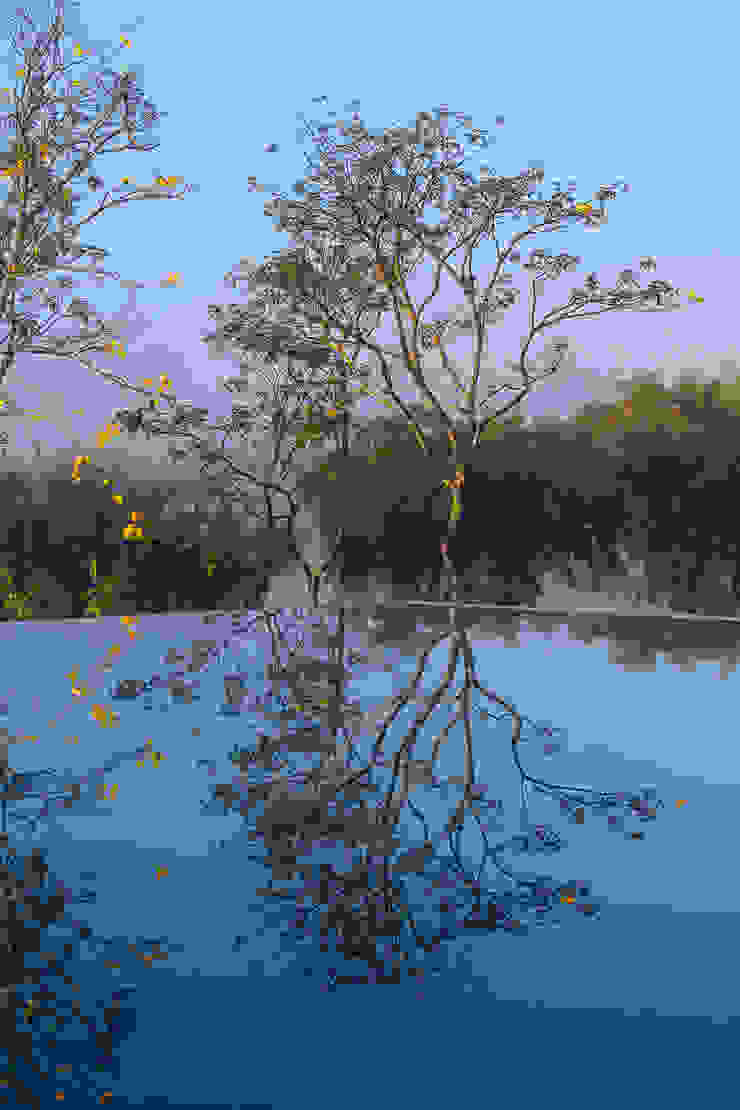 Studio MK27 Modern houses