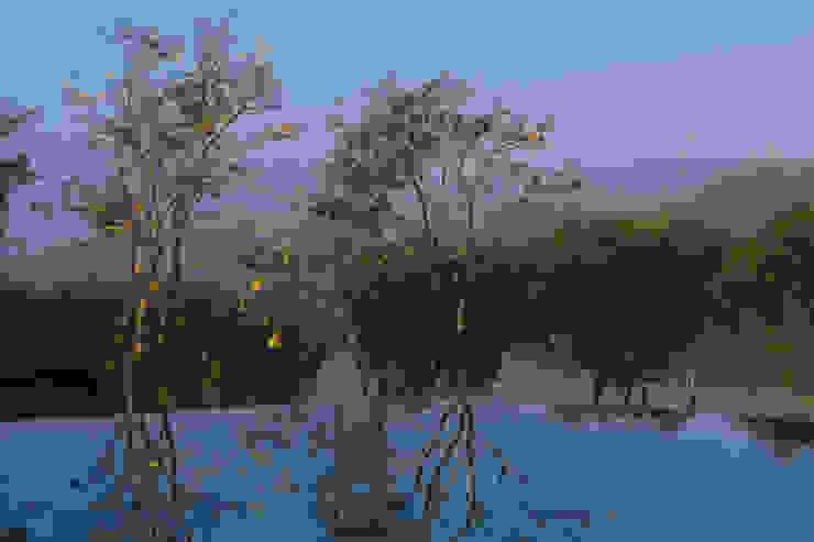 Studio MK27 Modern houses