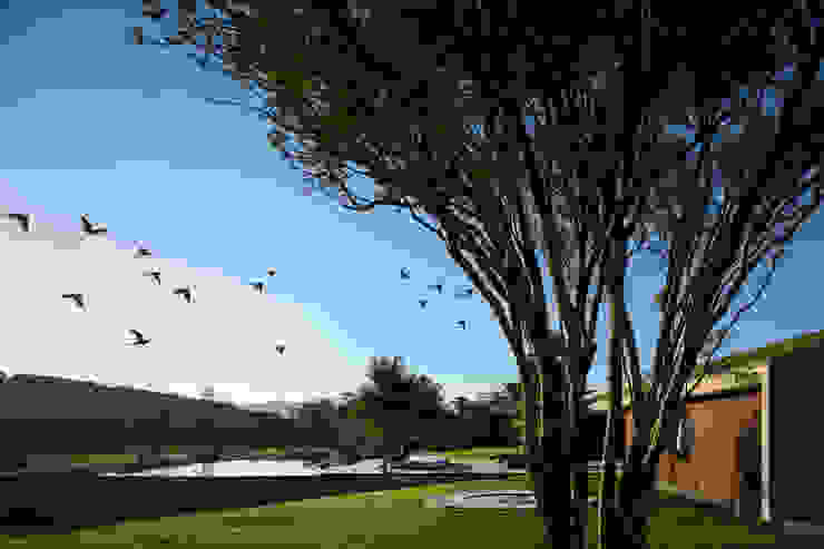 Studio MK27 Modern garden