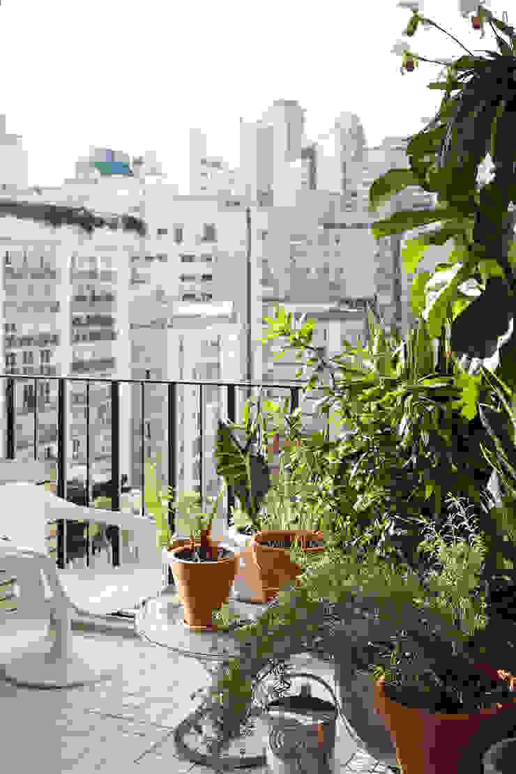 Residência Lorena Mauricio Arruda Design Jardins ecléticos