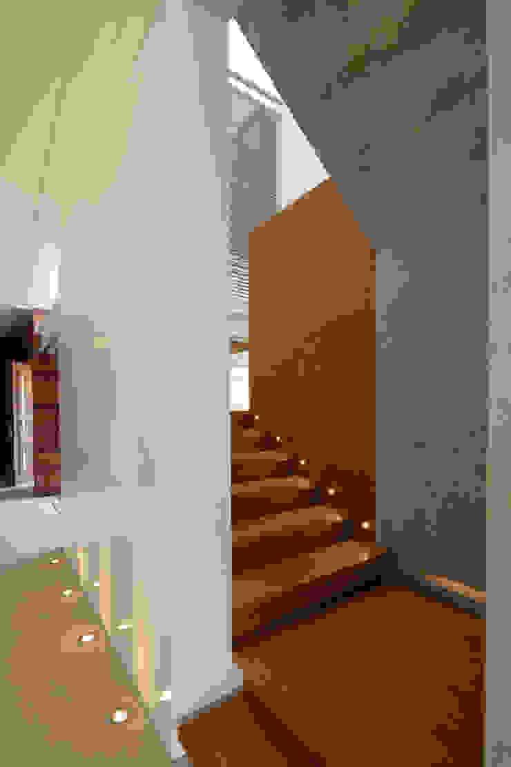 Hernandez Silva Arquitectos Modern Corridor, Hallway and Staircase