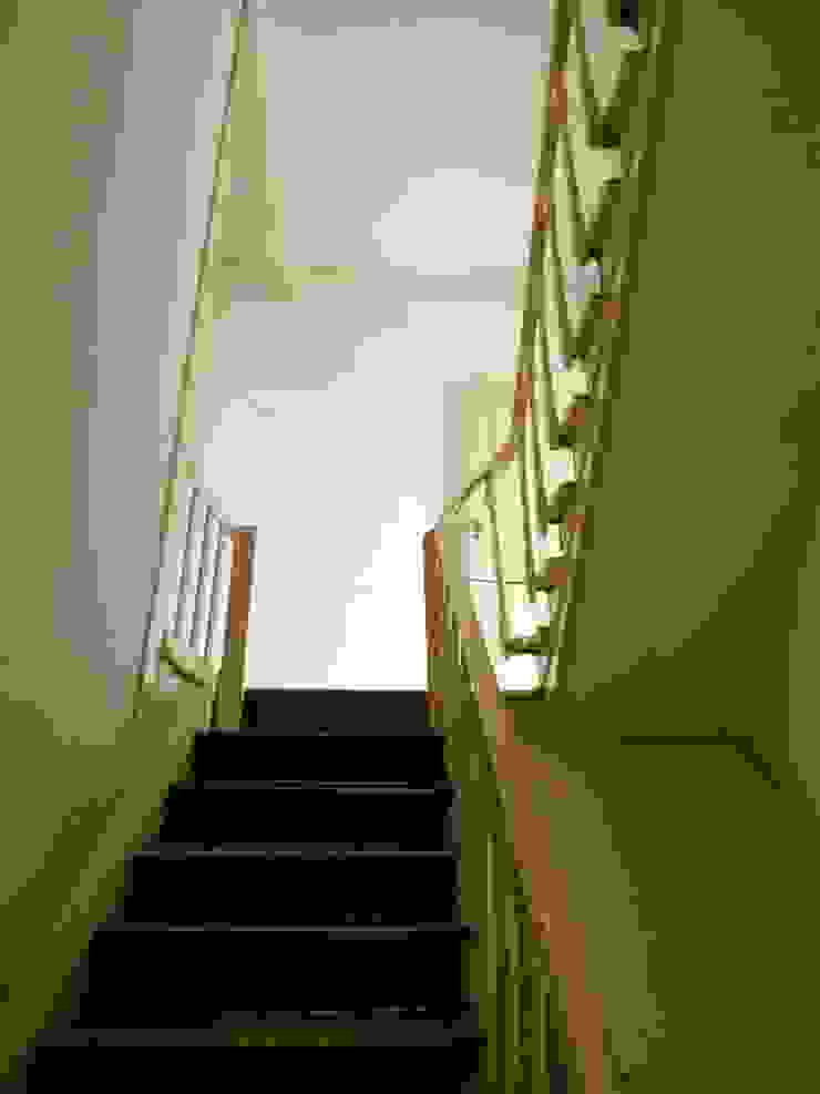 The Three Cusps Chalet Oleh Tiago do Vale Arquitectos Eklektik