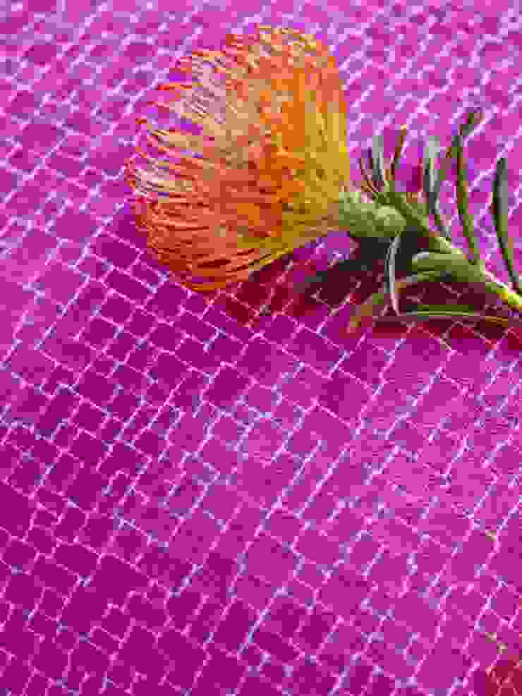 Roco cam Prestigious Textiles SalonAccessoires & décorations